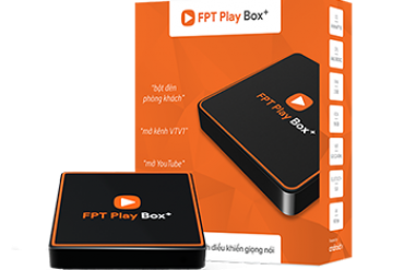 Box fpt cà mau